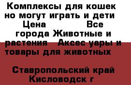 Комплексы для кошек, но могут играть и дети › Цена ­ 11 900 - Все города Животные и растения » Аксесcуары и товары для животных   . Ставропольский край,Кисловодск г.